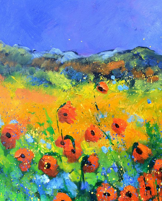 Flowers in Provence