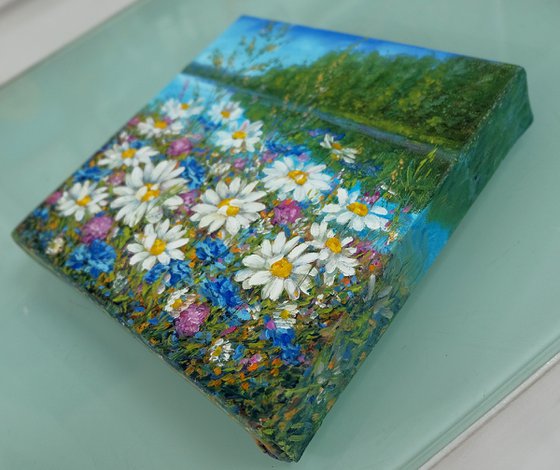 "Daisies by the Shore"