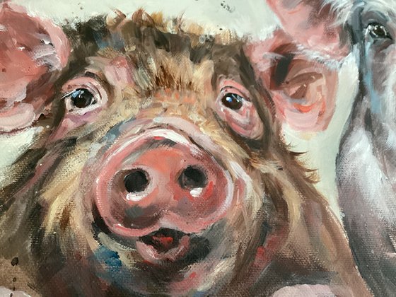 Happy Piggies