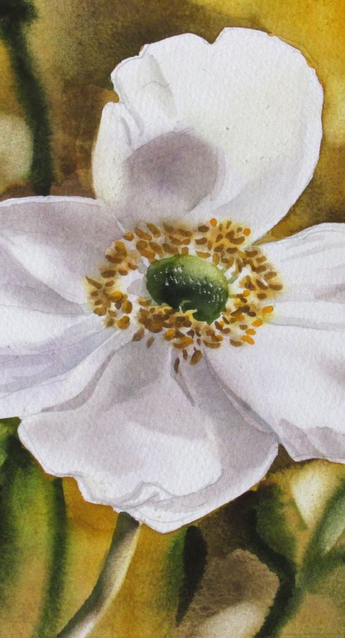 A painting a day #10 "Japanese anemone" by Alfred  Ng