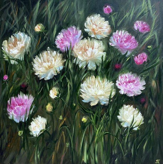 Peonies - arome of summer