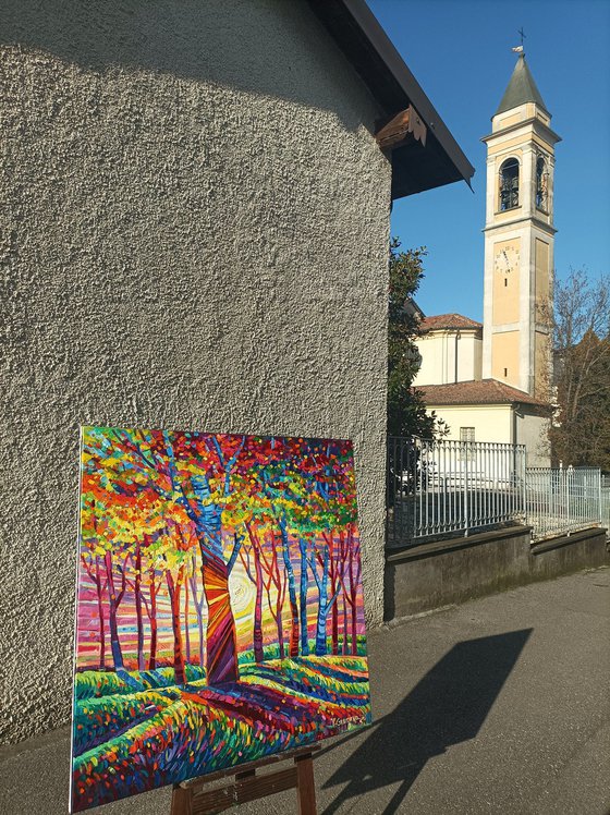 Autumn light in the forest