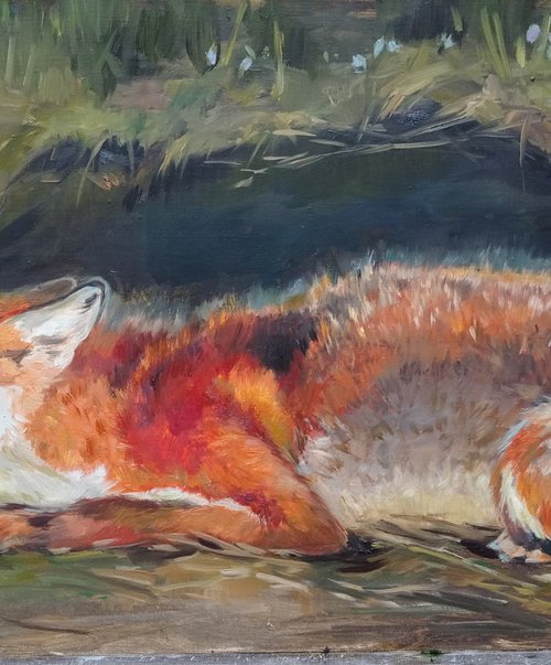 The fox hole by Elena Utkina