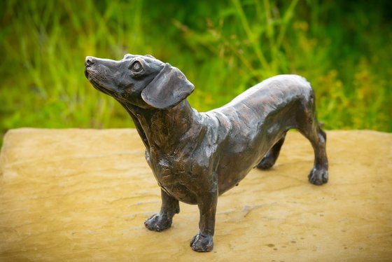Standing Dachshund FB