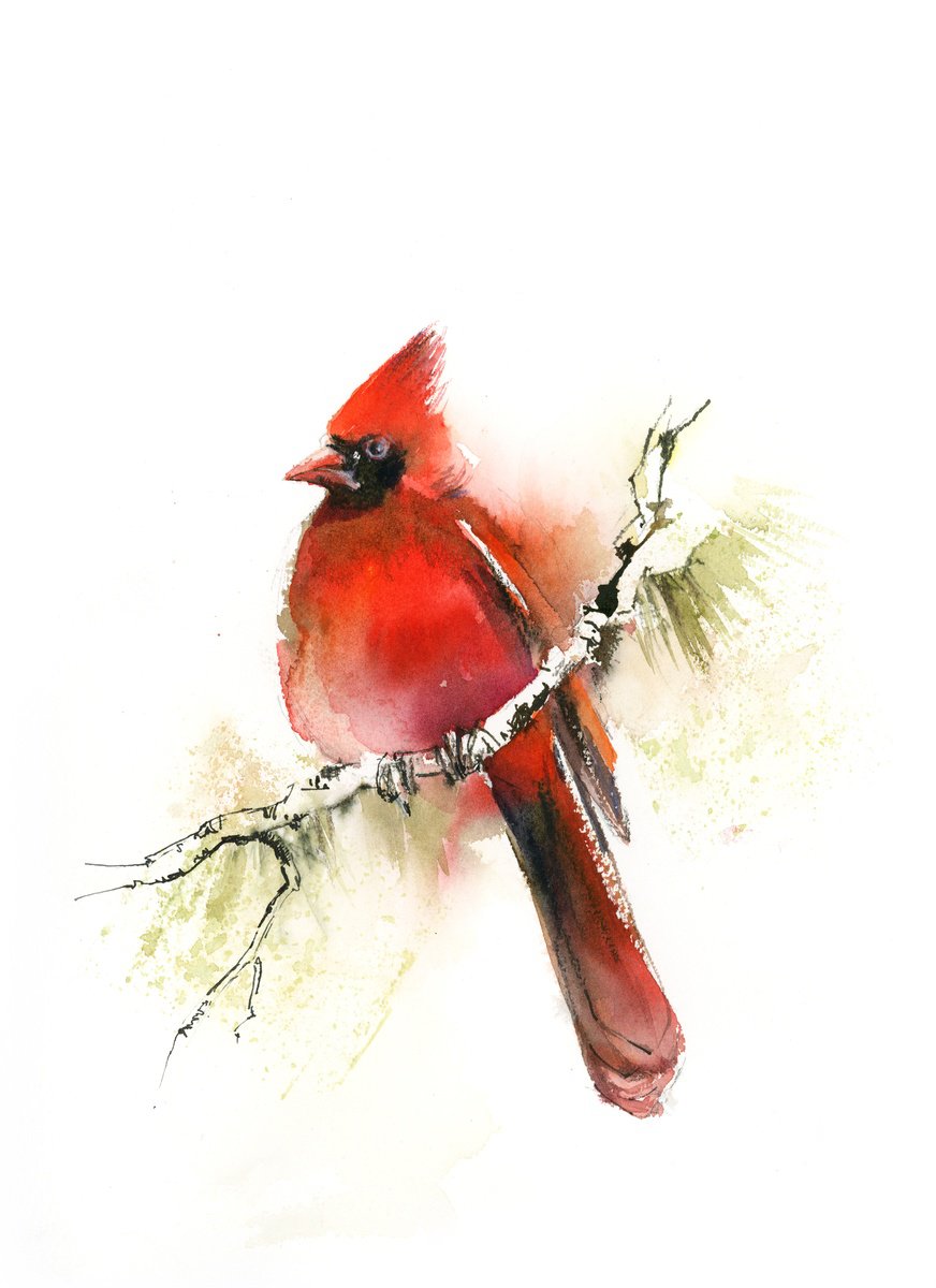 Northern Cardinal Bird Watercolor Painting by Sophie Rodionov