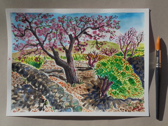 Almond blossom tree study
