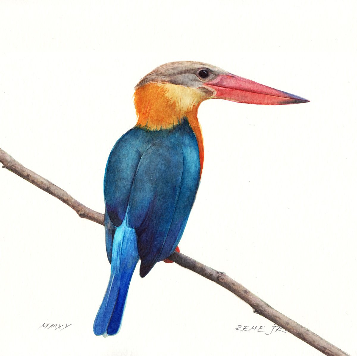 BIRD XXXV by REME Jr.