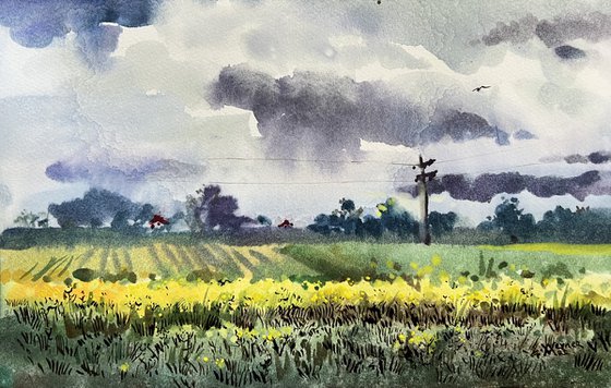 Rapeseed field. Bavaria.