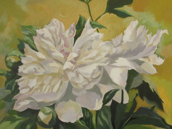 White peony