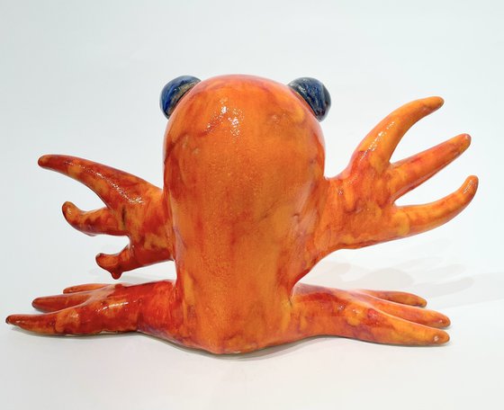 Coral Reef Creature