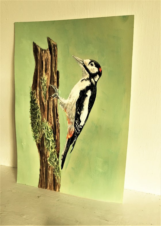 Great Spotted Woodpecker