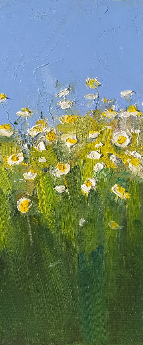 Daisies by Valentina Andrukhova