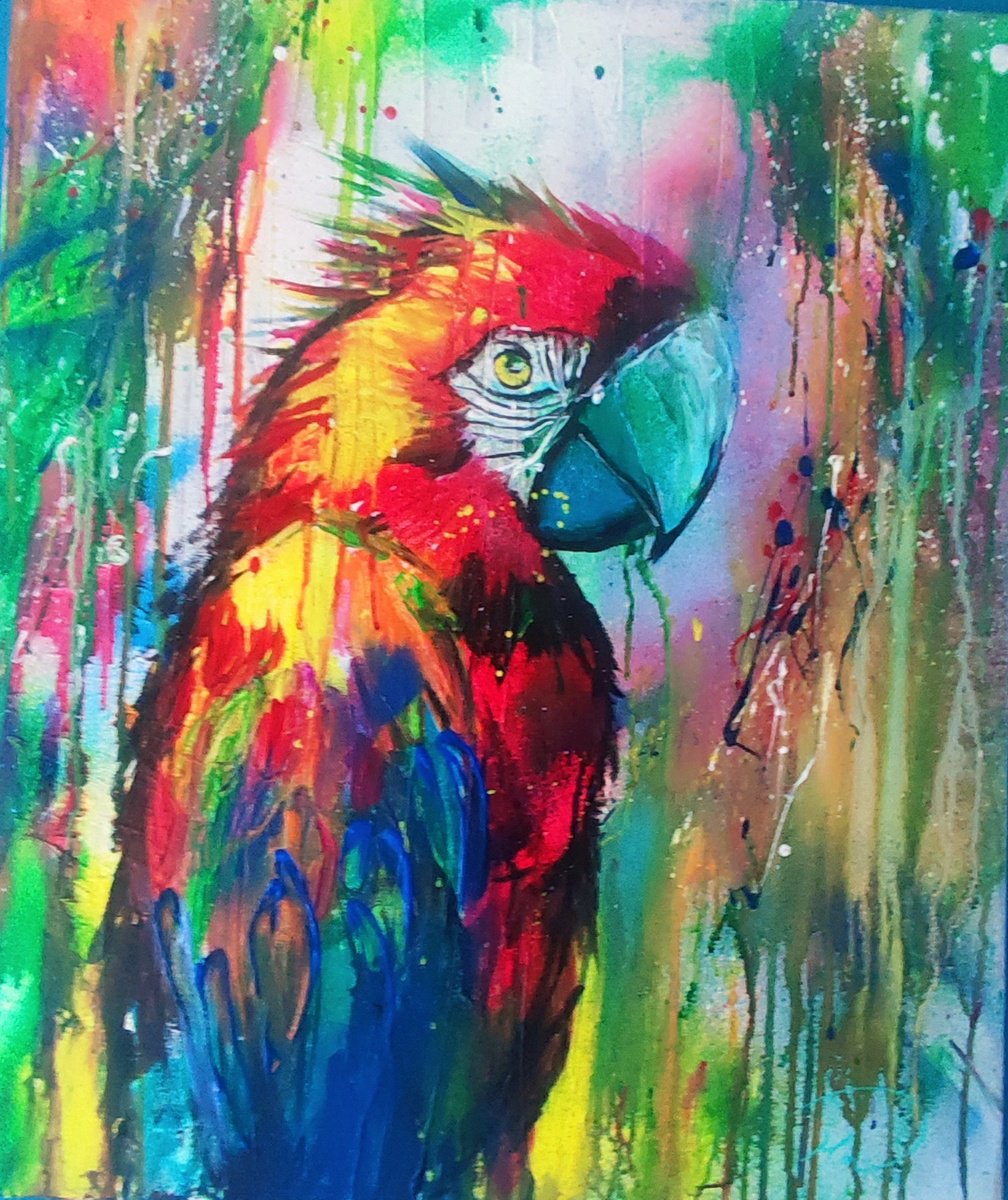 Abstract Animal Acrylic Painting By Beata Harasim, 20 X 24, Parrot, Original Artwork