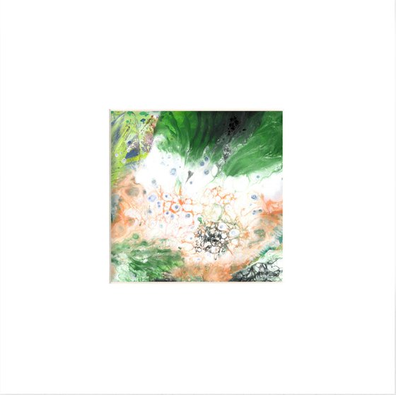 Rhythm And Blooms Collection 2