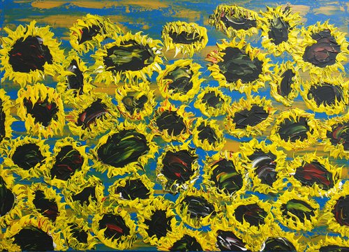 Blooming sunflowers 7 by Daniel Urbaník