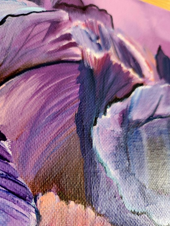 Iris in Barocco Style.
