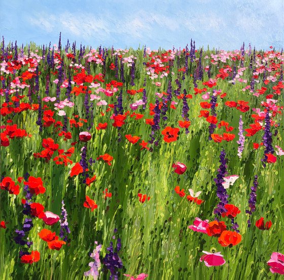 Poppies meadow lullaby