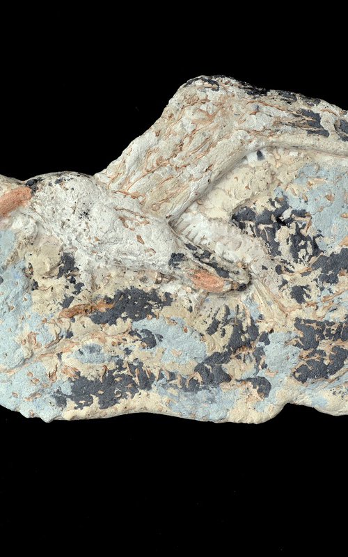 JONATHAN LIVINGSTON by Thierry Vobmann. Abstract .