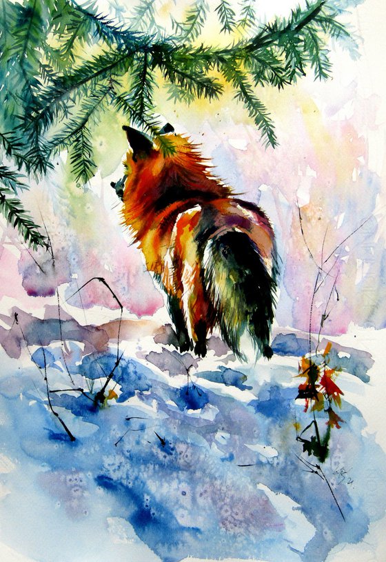 Red fox watching wintertime