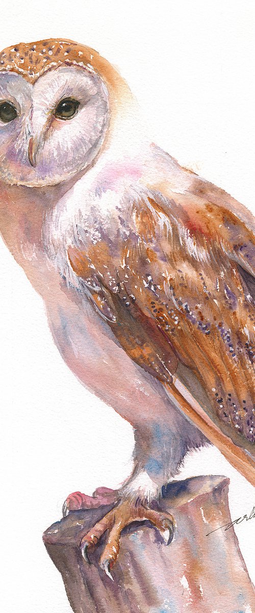 Barn owl Blick by Arti Chauhan