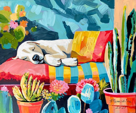 Sunny Siesta