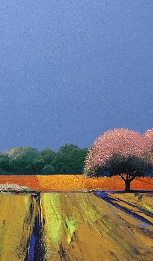Solaris Dreamfields XVIII by Simon Jones