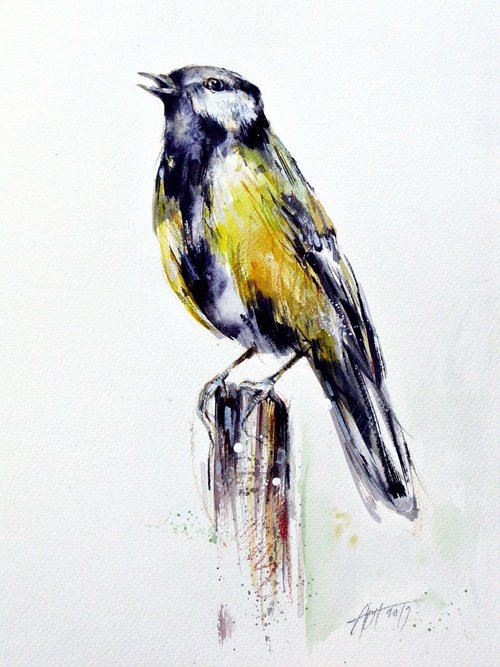 Great tit by Anna Maria
