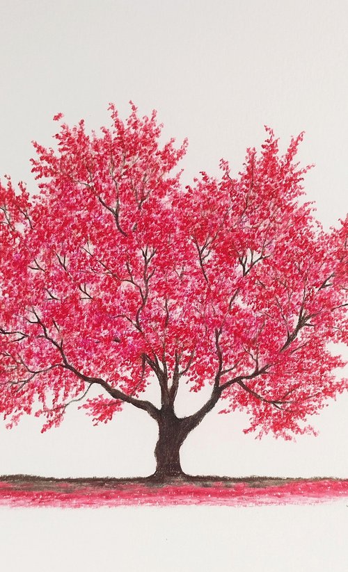 Crabapple tree II by Shweta  Mahajan