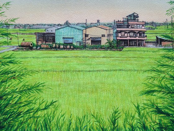 Watering Ricefields at Dawn, Yilan