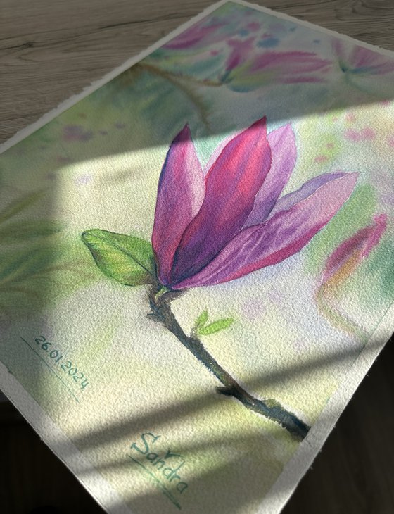 Blooming Pink Magnolia