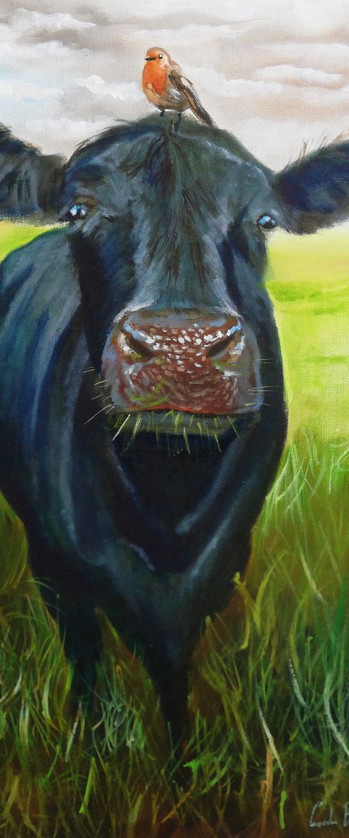 Cow and a Robin by Gordon Bruce