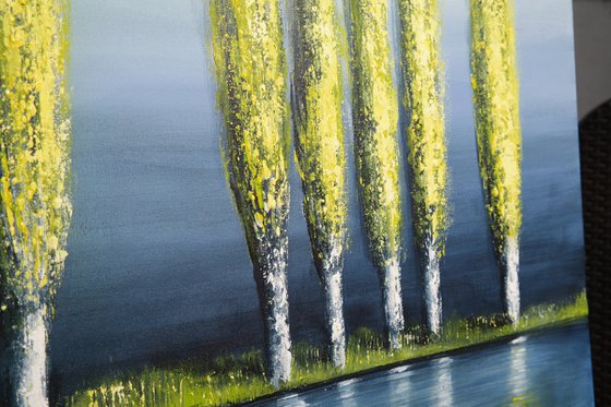 Poplars in Spring -  Fields and Colors Series