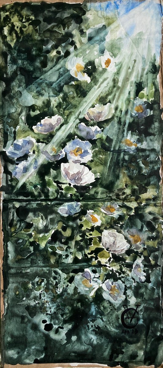 Impressionistic Botanical Painting By Valeria Golovenkina, 8 X 19", White Wild Rose, Original Artwork