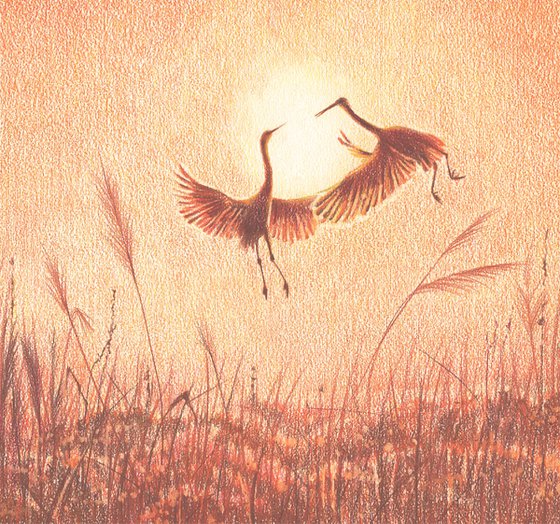 The Cranes. Sunrise.