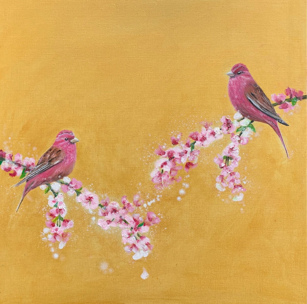 Impressionistic Animal Painting By Laure Bury, 26 X 26", Rose Finches On Gold, Original Artwork
