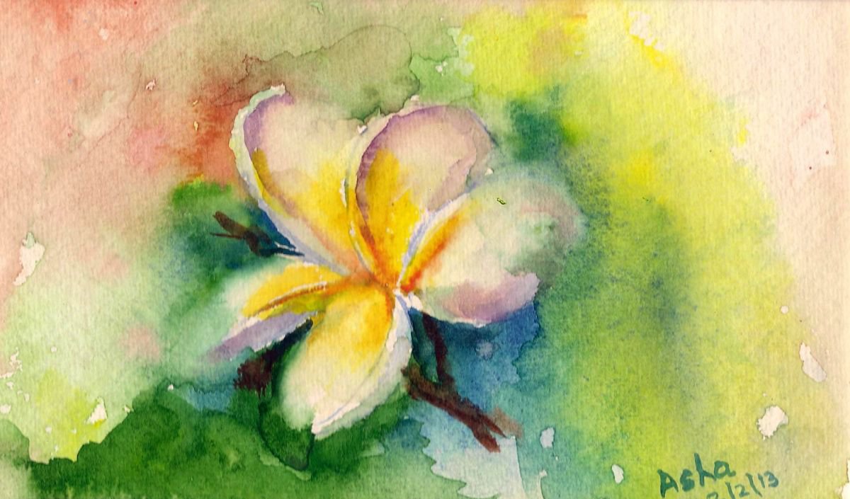 Frangipani flower 7.25x 4.25 by Asha Shenoy