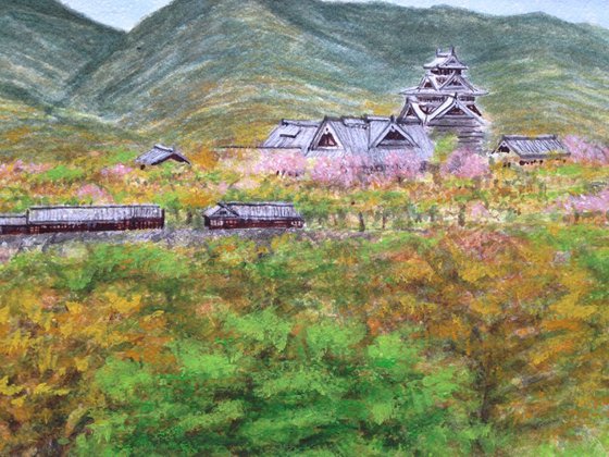 Kumamoto Castle and Sakura Blossoms