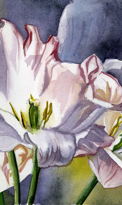 three tulips watercolor floral by Alfred  Ng