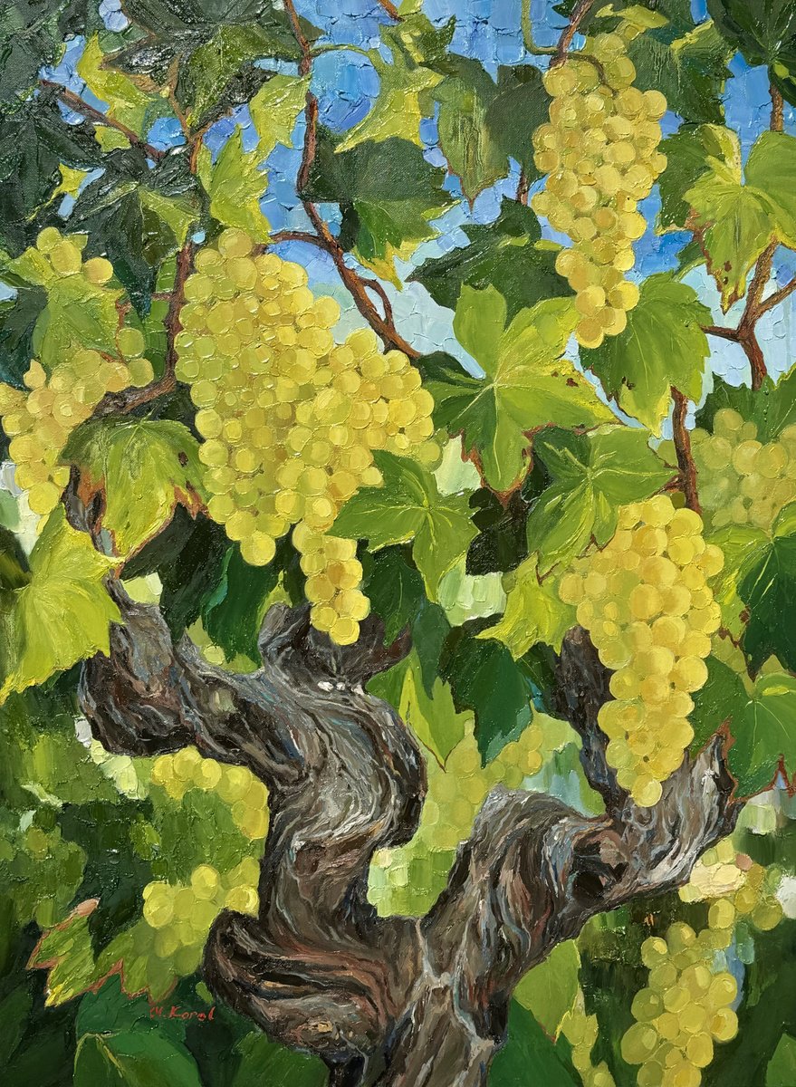 Sun-kissed vine by Ulyana Korol