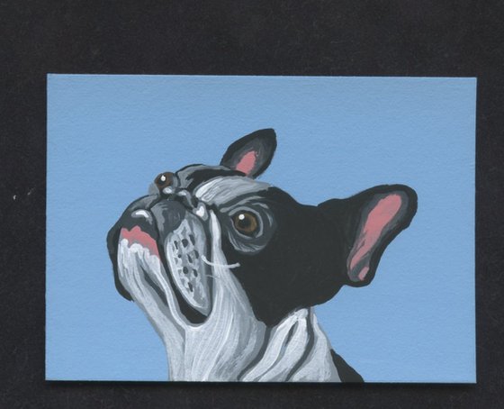 ACEO ATC Original Miniature Painting Black White French Bulldog Pet Dog Art-Carla Smale