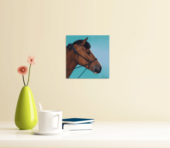 Horse Portrait 57