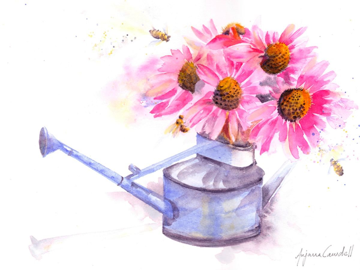 Bees on Echinacea, Bee Painting, Floral watercolour, watercolor, honebee, daisy, flower by Anjana Cawdell