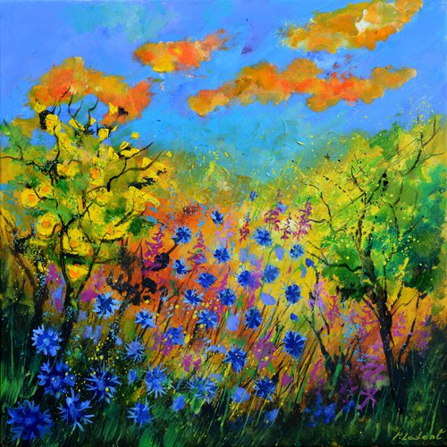 Blue cornflowers  7722 by Pol Henry Ledent