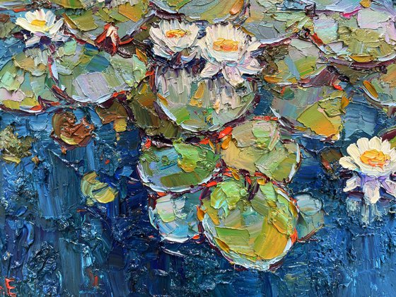 "Water lilies flowers"