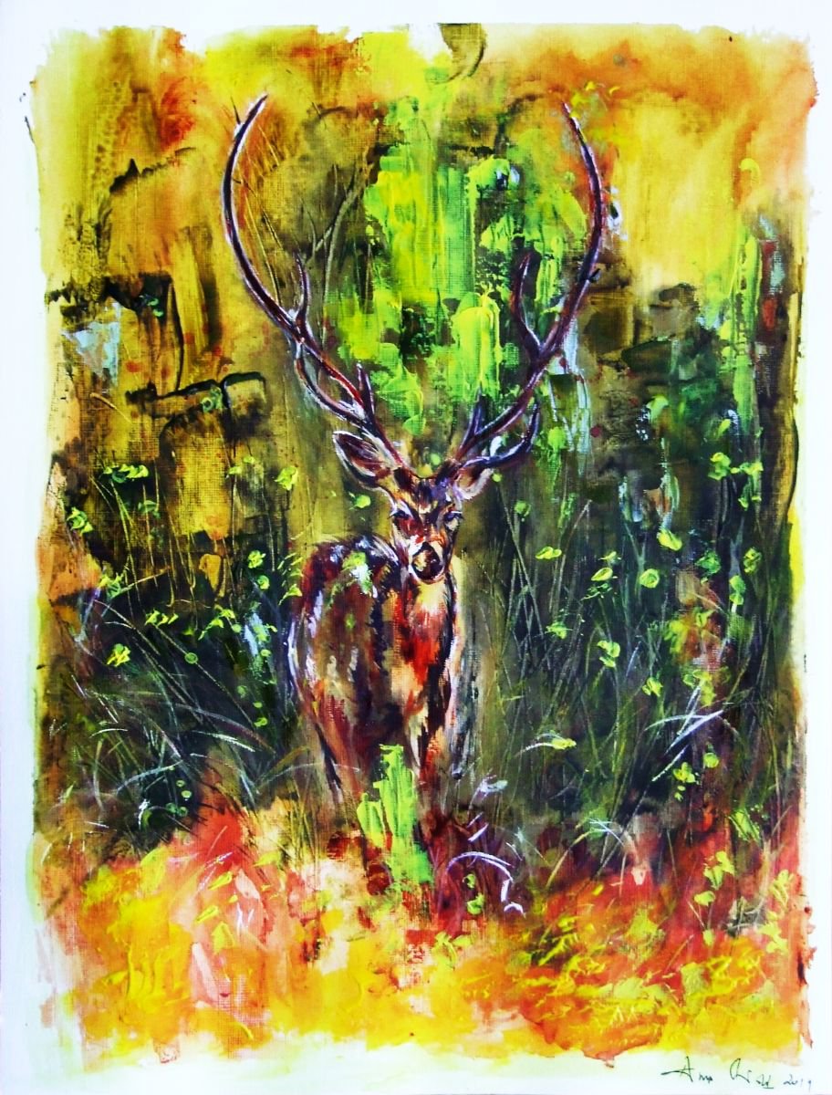 Oh ...deer! by Anna Sidi-Yacoub