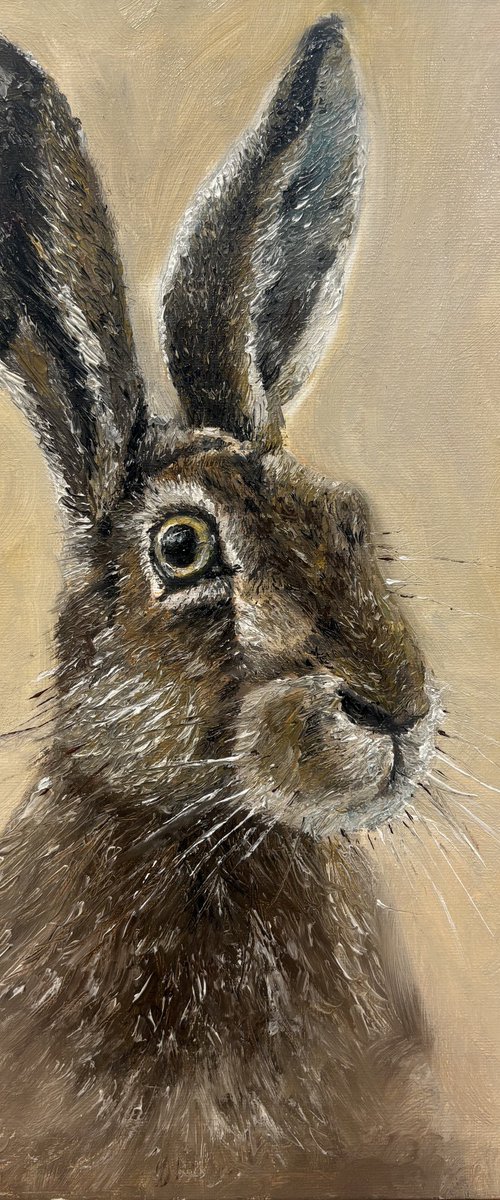 Framed Hare Oil Painting Original Impasto by Abigail Wilson
