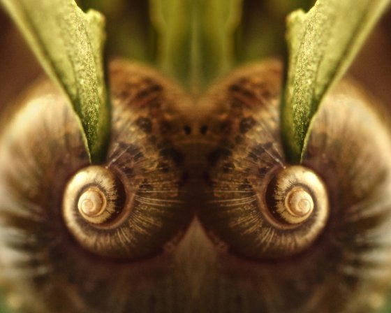 The Treasure - diptych