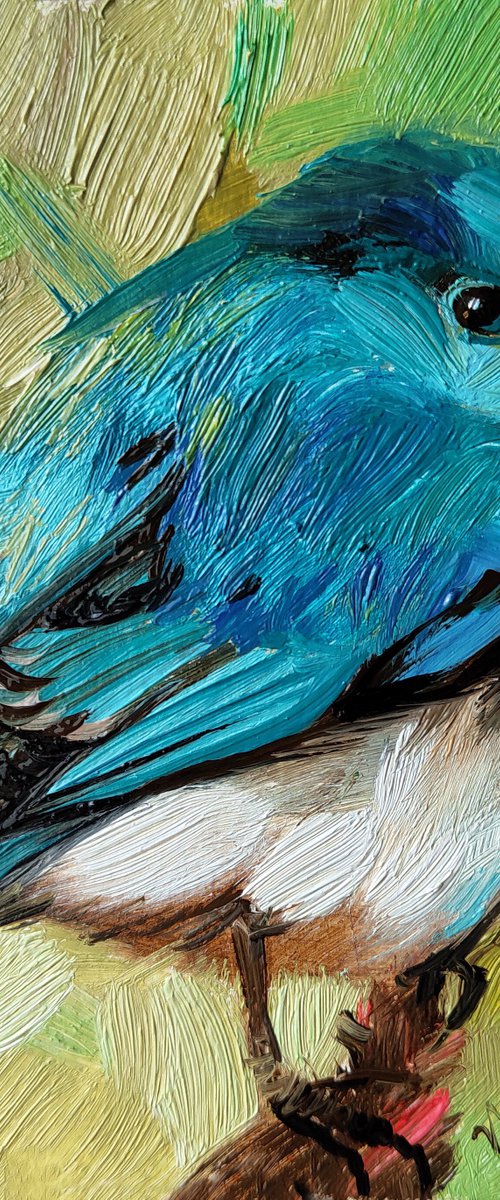 Teal bird by Nataly Derevyanko