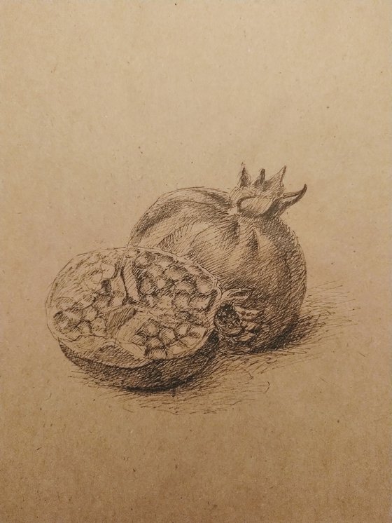 Pomegranate. Original pencil drawing on beige paper