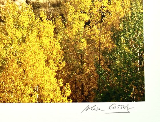 Crystal Valley, Colorado